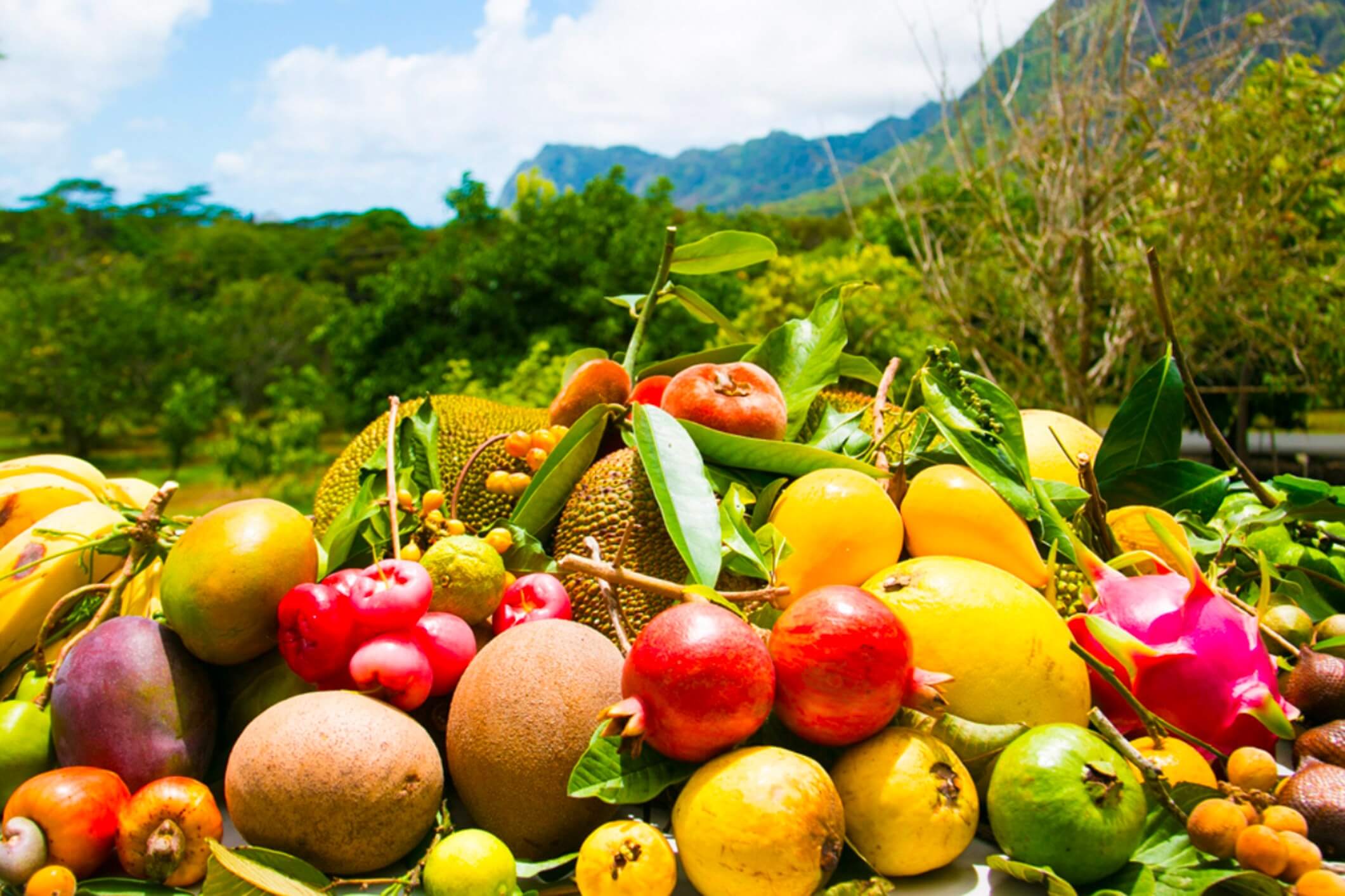 managing-type-ii-diabetes-in-hawaii